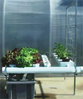 Browse Hydroponic Systems